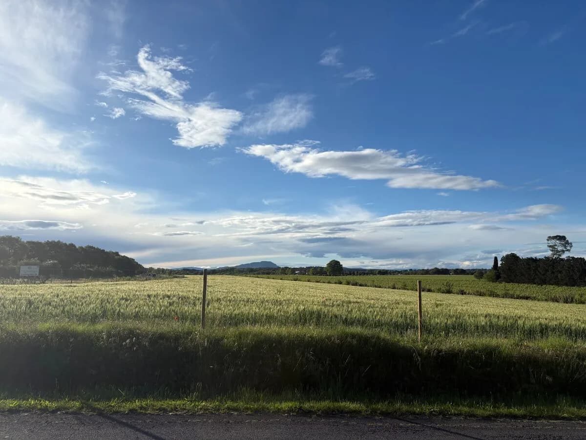 Paysage de garrigue près de Jacou, au nord de Montpellier