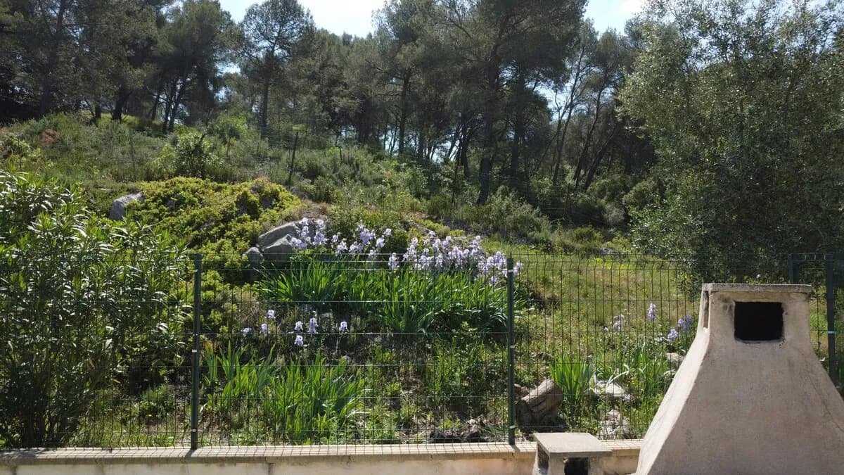Jardin, barbecue et vue sur les pinèdes à Grabels