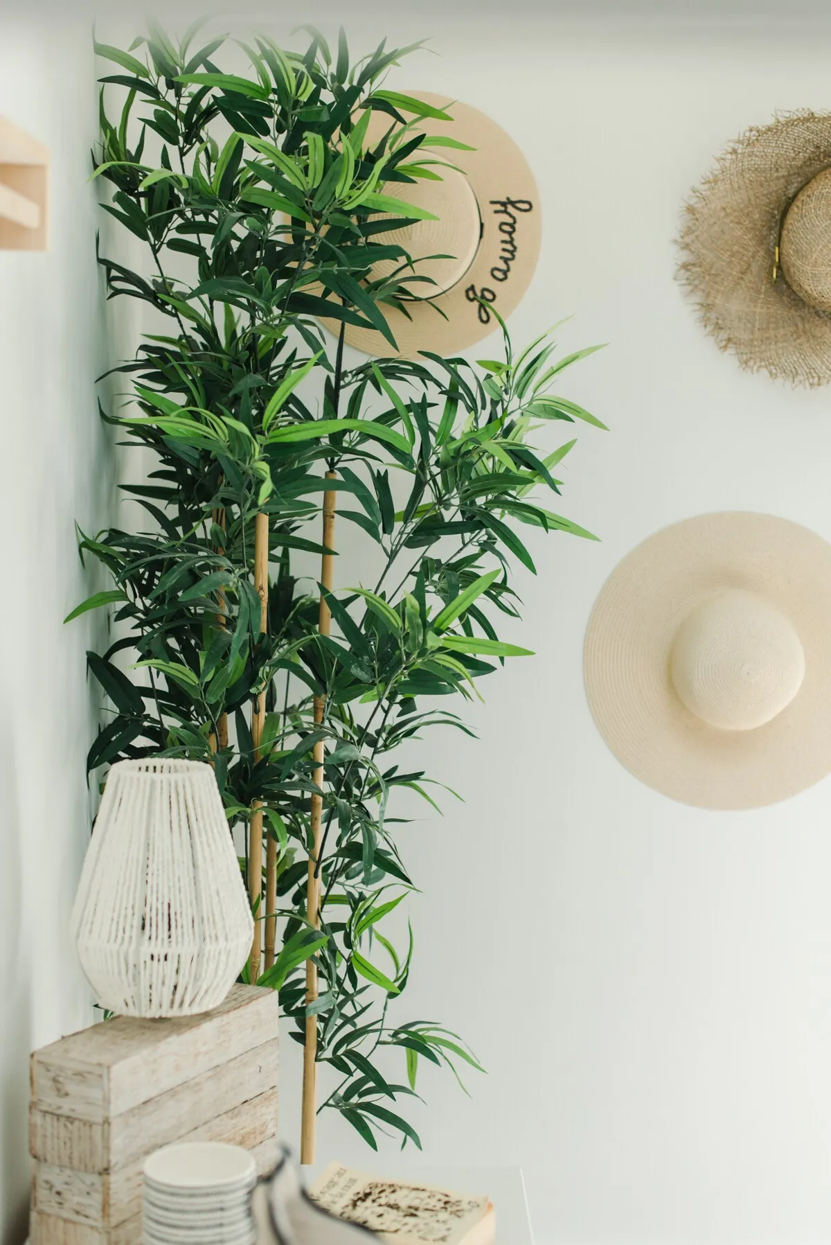 Détail de décoration provençale, plante et chapeaux de paille